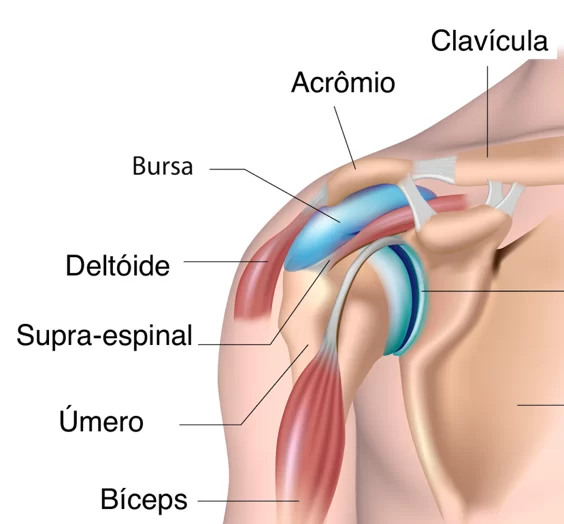 Tratamento para bursite Imagem